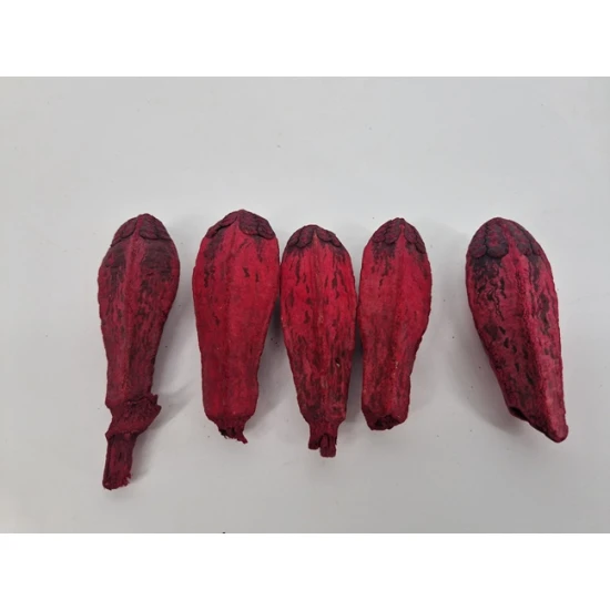 MEHOGNI BORDEAUX 5ST