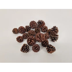 MUGUS NATUREL +/-500GR