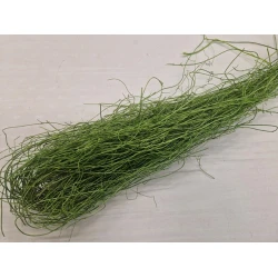 MULLEMBECHIA VERT POMME +/-250GR