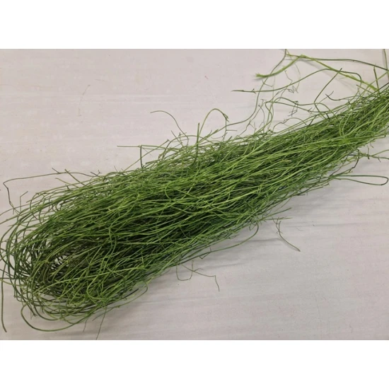MULLEMBECHIA VERT POMME +/-250GR