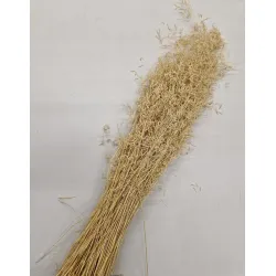 MUNNI GRASS BLEACHED +/-100GR BOPP/kraft Small packaging