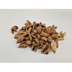 MIKE FRUIT NATUREL +/-50PCS