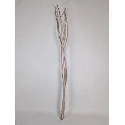 MITSUMATA CHAMPAGNE 3PCS