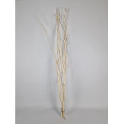 MITSUMATA BLANCHI 3PCS