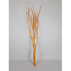 MITSUMATA ORANGE (APRICOT) 3PCS