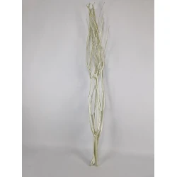 MITSUMATA PEARL SAGE 3PCS