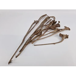 NATRAY NATUREL 10PCS