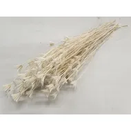 NIGELLA ORIENTALIS GEBLEEKT +/-50GR BOPP/kraft hobbyverpakking