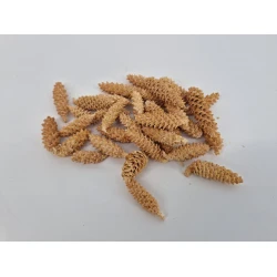 OMORIKA GERASPELD KOPPEN GEBLEEKT +/-100GR