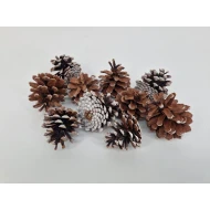 AUSTRIACA HEADS (AUSTRIACA) WHITE TIP +/-200GR