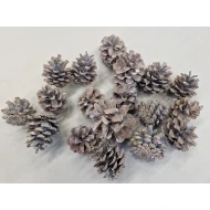 OOSTENRIJKER KOPPEN (AUSTRIACA) WITTE WASH +/-200GR