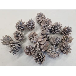 AUSTRIACA (PINUS NIGRA) WHITE WASH +/-200GR