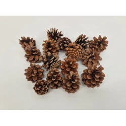 AUSTRIACA (PINUS NIGRA) NATUREL +/-200GR