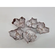 PALM CUP WHITE WASH 15PCS