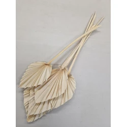 PALM SPEAR BLEACHED 5PCS BOPP/kraft Small packaging