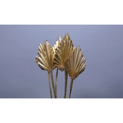 PALM SPEAR OR 5PCS BOPP/kraft emballage hobby