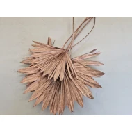 PALM SUN ROSE GOLD 10ST