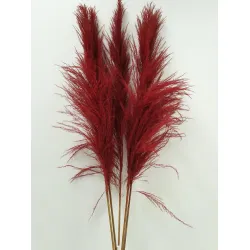 PAMPAS FIJN ROOD 150/160CM 1ST