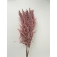 PAMPAS FIJN ROZE 150/160CM 1ST