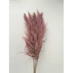 PAMPAS FIJN ROZE 150/160CM 1ST