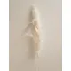PAMPAS THAI BLANCHI 140CM 3PCS