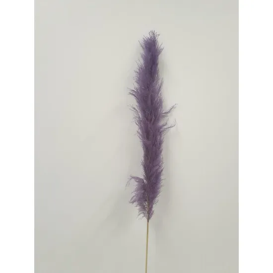 PAMPAS THAI LILAC 140CM 3PCS