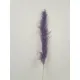 PAMPAS THAI LILAC 140CM 3PCS