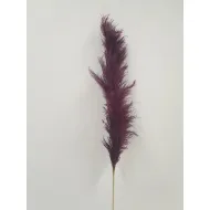 PAMPAS THAI PRUIM 1ST BOPP/kraft hobbyverpakking