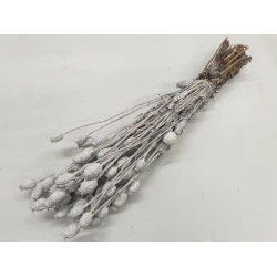 PAPAVER FROSTED WHITE 1/2 BOPP/kraft hobbyverpakking