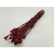 PAVÔT ROUGE 1/2 BOPP/kraft emballage hobby