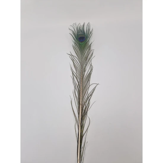 PAUWEVEER 80-100CM NATUREL 1ST