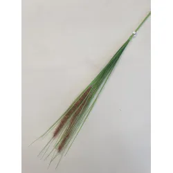 PENNISETUM BROWN 80CM