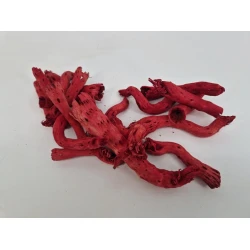 PEPE CUT (CABSTICK/PEPE CONE) ROUGE +/-500GR