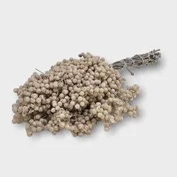 PEPPERBERRY GEBLEEKT SMALL BOPP/kraft hobbyverpakking