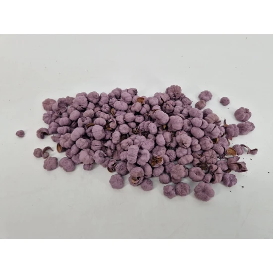 PHUTKA PODS BLACKBERRY