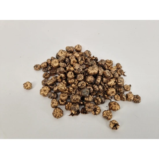 PHUTKA PODS GOUD