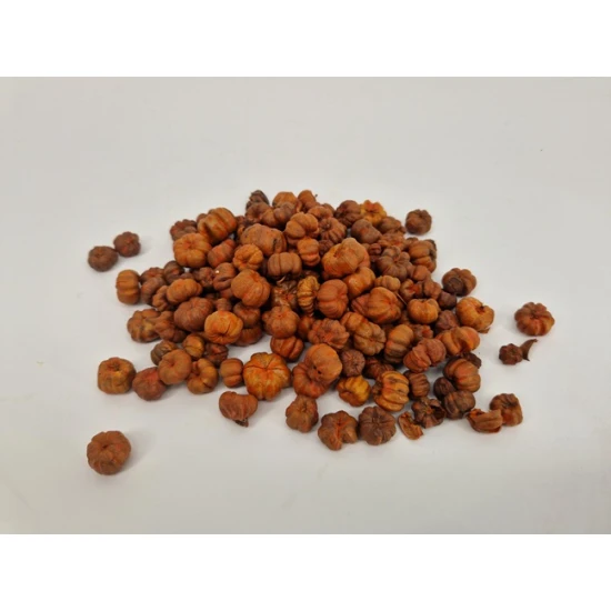 PHUTKA PODS ORANJE (ABRIKOOS)
