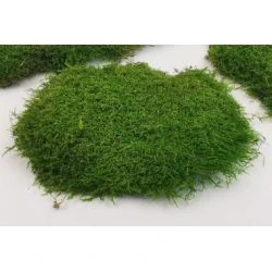 FLAT MOSS REFURBISH SPRAY 400ML  