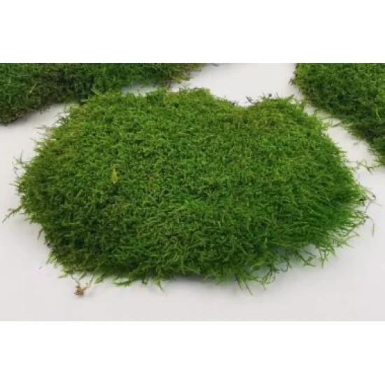 FLAT MOSS REFURBISH SPRAY 400ML