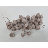 PLANE TREE BULBS CHAMPAGNE 1/2