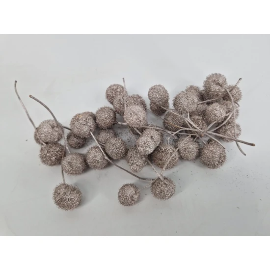 PLATAANBOLLEN CHAMPAGNE 1/2