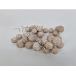 PLATAANBOLLEN WIT 1/2