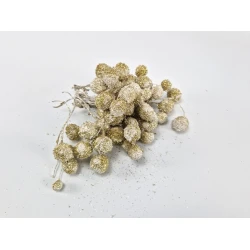 PLATAANBOLLEN WIT + GLITTER GOUD 1/2