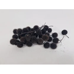 PLANE TREE BULBS BLACK