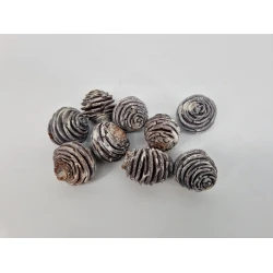 PLATYSPERMUM MED WHITE WASH  +/-100GR