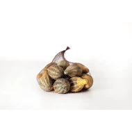 PUMPKIN MINI NATURAL 12PCS