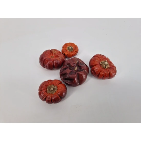 POMPOENEN (SOLANUM)