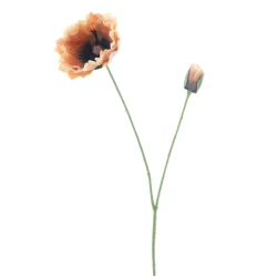 POPPY SPRAY OLA YELLOW 75CM     