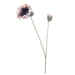 POPPY SPRAY OLA PURPLE 75CM     