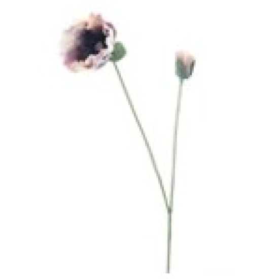 POPPY SPRAY OLA PAARS 75CM